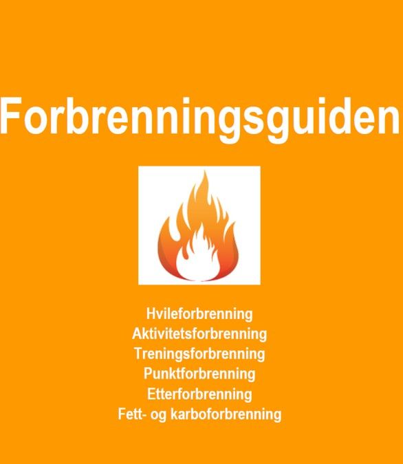 Forbrenningsguiden
