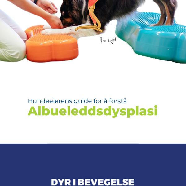 Eiers guide for å forstå albueleddsdysplasi hos hund