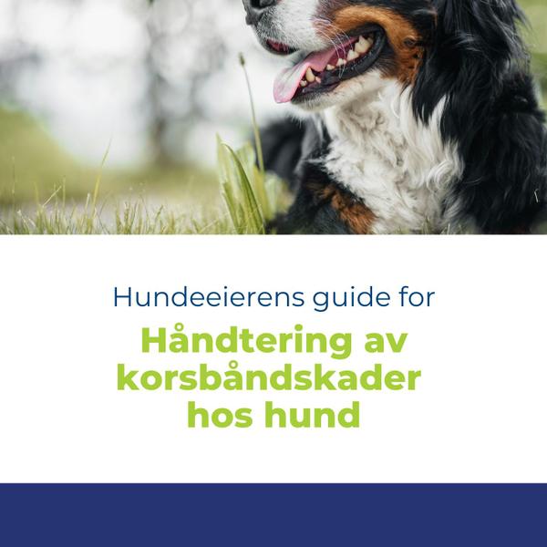 Hundeeierens guide for håndtering av korsbåndskader hos hund