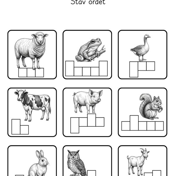 Skriv dyr i bokser og bokstavhus
