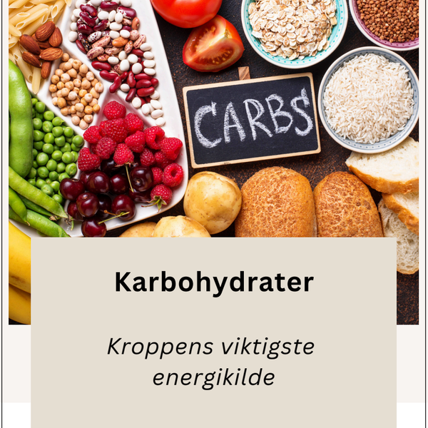 Karbohydrater