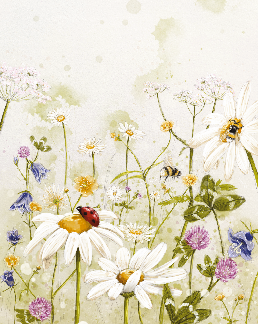Blomstereng 40x50
